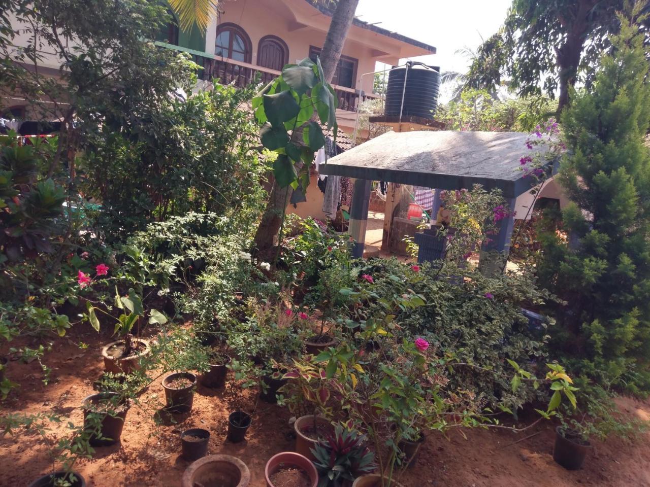 21In Guest House كالانغيُت المظهر الخارجي الصورة
